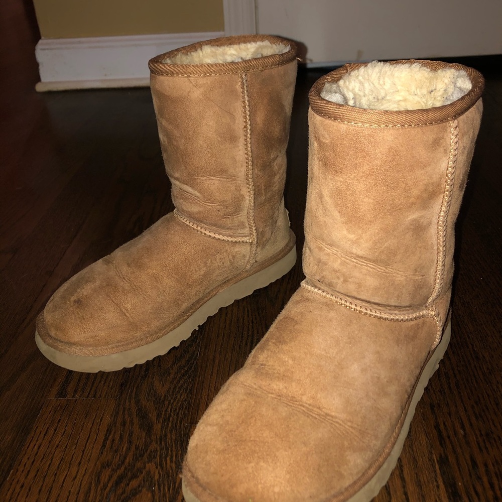 Uggs Chestnut - image 1